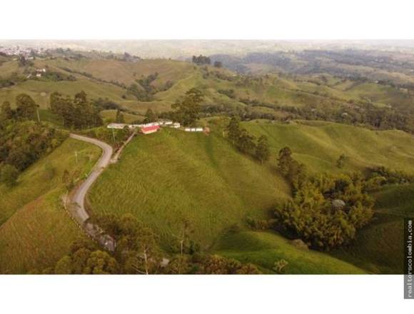 Se vende finca ganadera en filandia Quindío.