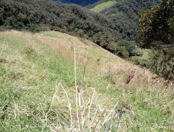 Hermosa Finca Zonas de Conservacion