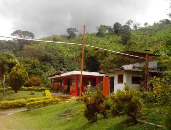 Finca productiva café y plátano  en calarca