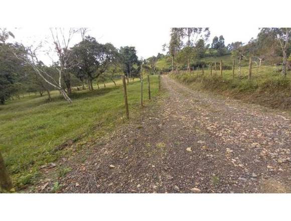 Se vende finca autosostenible  en #Filandia #Quindío #Colombia