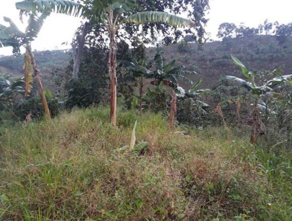 En venta Finca Cafetera en Calarcá, Quindío Colombia.