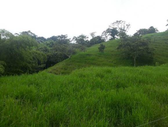 Se vende Finca para la venta en Filandía, Quindío, Colombia.