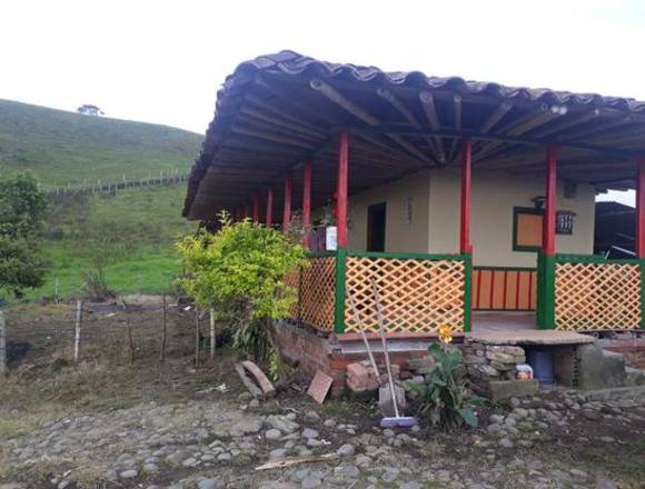 Finca ganadera  en filandia con hermosa vista