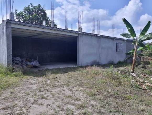 Finca productiva cultivada en platano en calarca