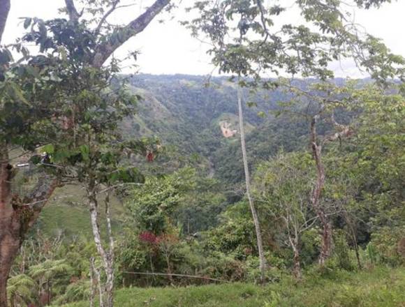 Se vende finca en Filandia con bosque