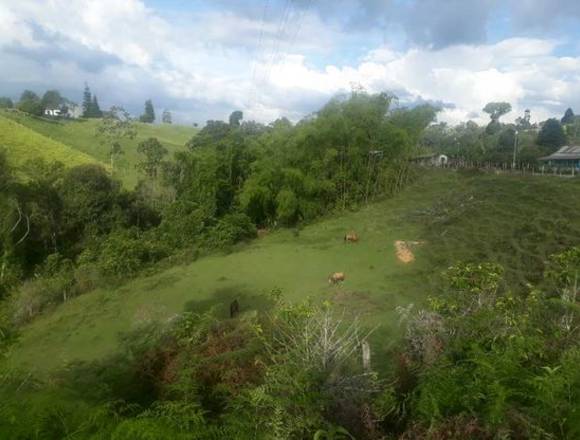 Finca para la venta en filandia con bosque