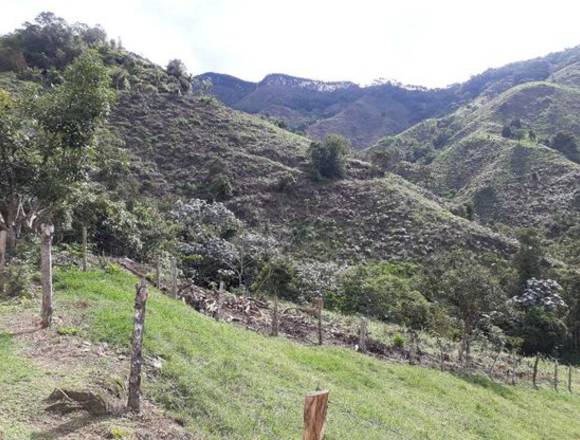 Finca en Córdoba para la venta de 268 cuadras