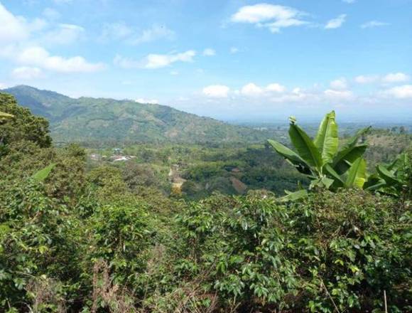 En venta Finca con lago natural  en Calarca, Quindío, Colombia.