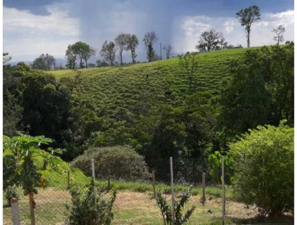 Finca chalet en Circasia de 7 cuadras en pasto