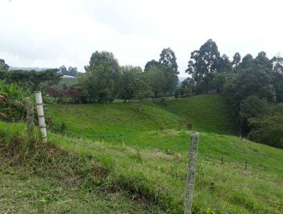 Finca con hermosa vista en pasto con bosque nativo