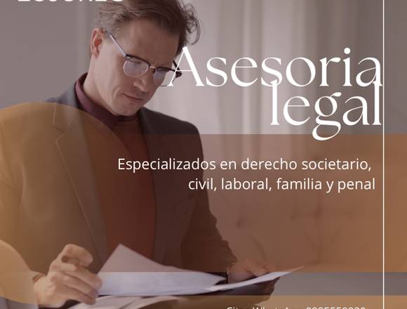 Abogada realiza divorcios, cobranzas, asesoría 