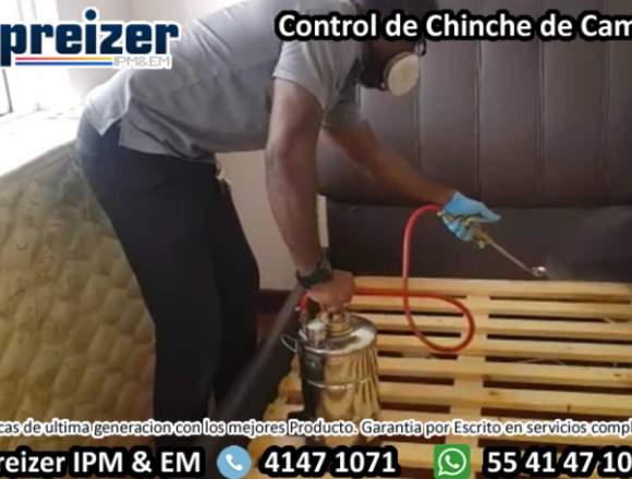 Control de Chinche de Cama