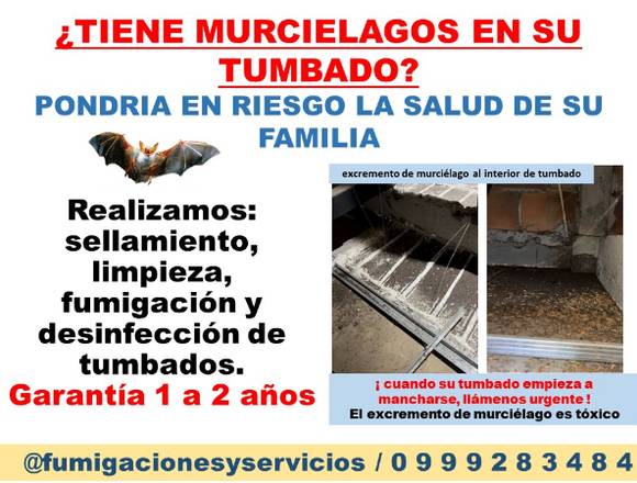 LIMPIEZA  / DESINFECCION DE TUMBADOS / 0999283484