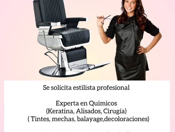 SE SOLICITA ESTILISTA   TECNICA EN CEJAS Y PESTAÑ