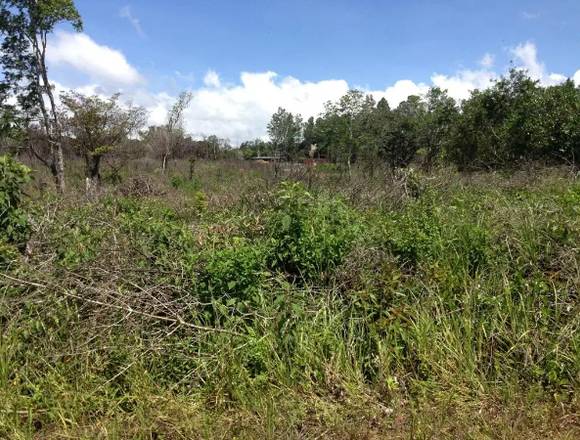 Vendo Terreno en Potrerillos Arriba, Chiriqui