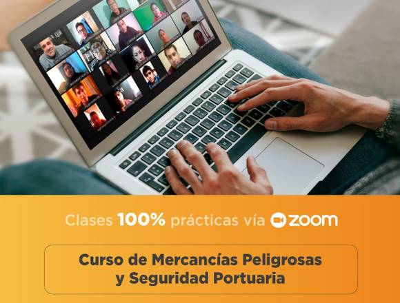 CURSOS PORTUARIOS DEL PBIP ONLINE 