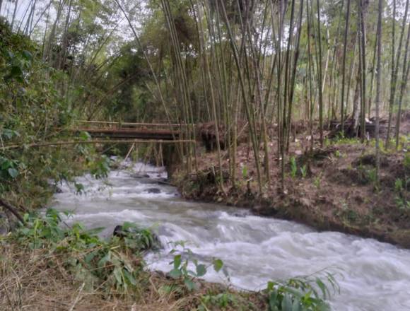 SE VENDE FINCA TRUJILLO VALLE DEL CAUCA