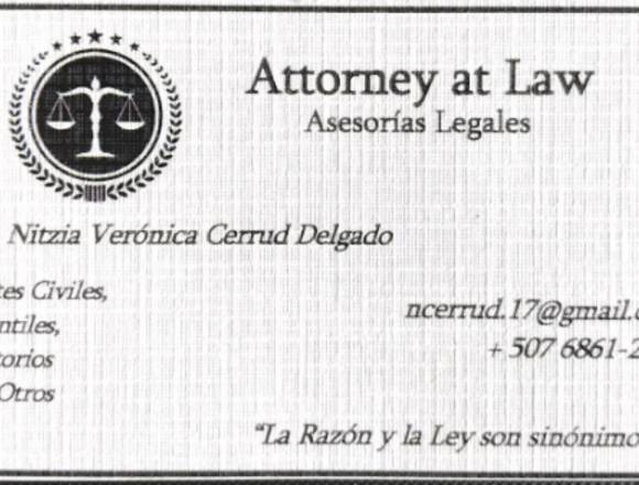 Asesorías y Servicios Legales.