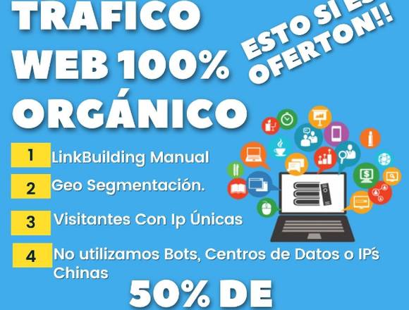 Trafico Web 100% Orgánico