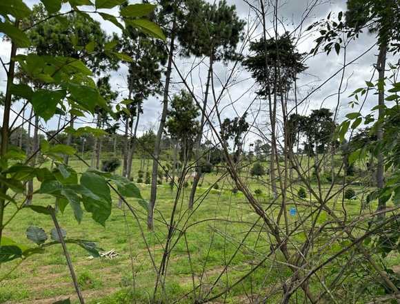  AGRICULTORES, VENTA TERRENO  SUMPANGO, GUATEMALA