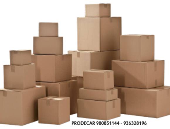 CAJAS DE CARTON CORRUGADO 2021