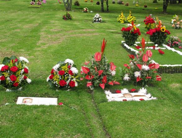 SE VENDEN LOTES PARQUE CEMENTERIO LA INMACULADA