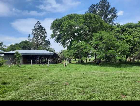 SE VENDE FINCA EN LA PRIMAVERA VICHADA 9.800 HAS.