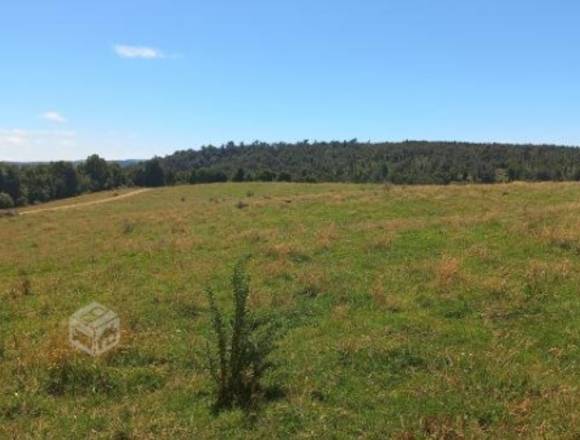 Parcelas, praderas, bosques y esteros