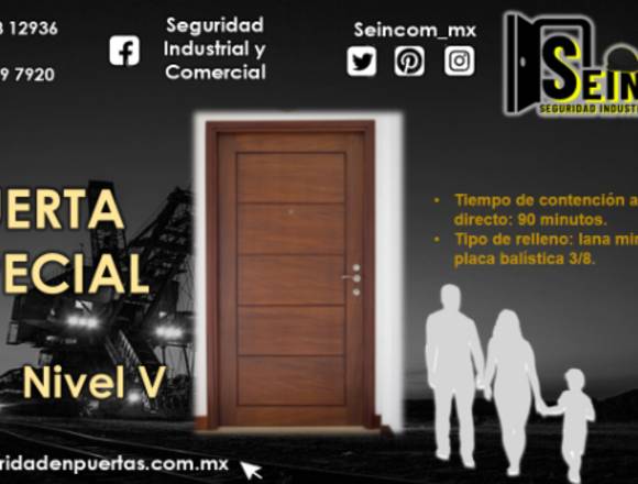 PUERTA ESPECIAL (ACABADO EN CHAPA DE MADERA)