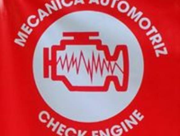 Mecanico automotriz a domicilio y scanner 