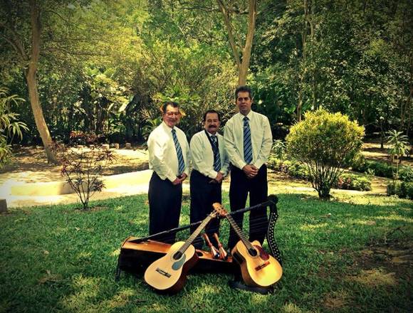 SERENATA CON TRÍO EN SANTANDER