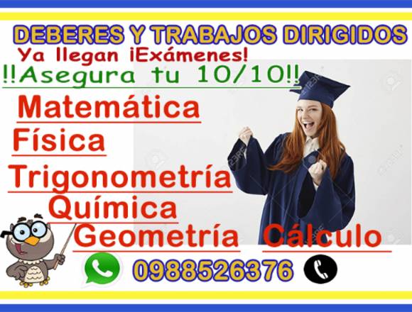  física, matemática, geometría, química, cálculo.