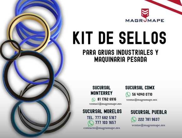 KIT DE SELLOS PARA GRUAS Y MAQUINARIA PESADA