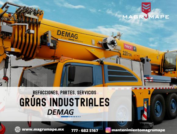 GRUAS INDUSTRIALES DEMAG 