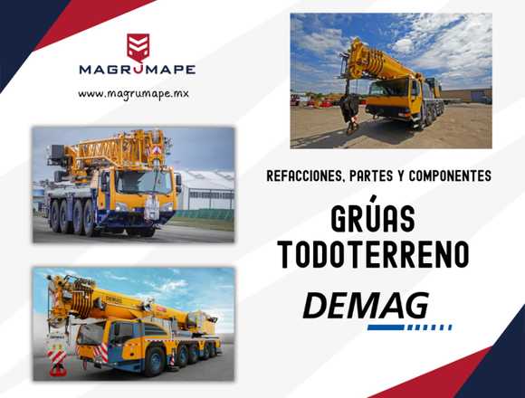 PARTES PARA GRÚAS TODOTERRENO DEMAG