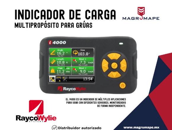 INDICADOR DE CARGA MULTIPROPOSITO DE GRUAS 