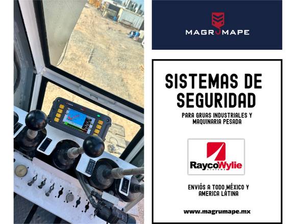 SISTEMA DE SEGURIDAD RAYCOWYLIE