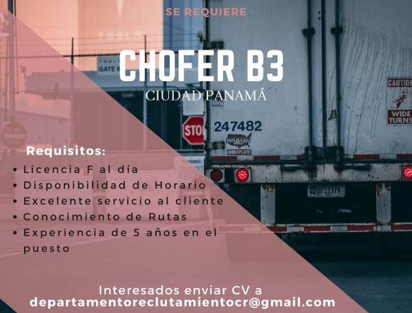 Chofer Repartidor con licencia Camión 