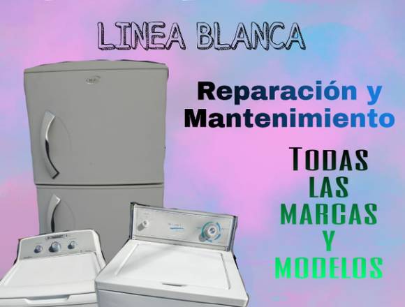 Reparación y Mantenimiento de Linea Blanca