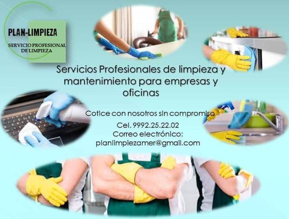 Servicio de Limpieza Profesional para empresas 