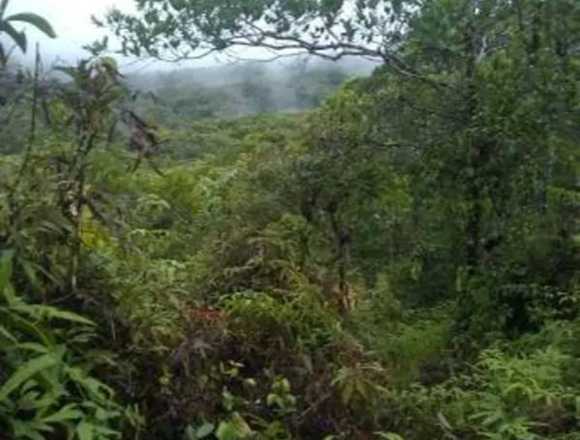 1 Hectare Titled Land in Cerro Azul Panama City