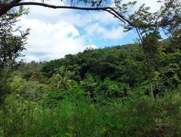 Titled Mountain Property in Hornito, Gualaca