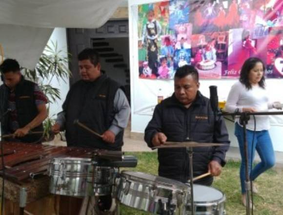 MARIMBA PARA FIESTAS Y EVENTOS