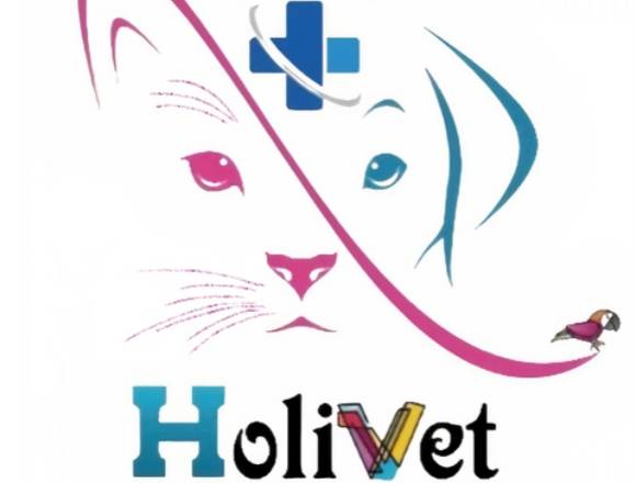 Rehabilitación Veterinaria Tenerife Holivet