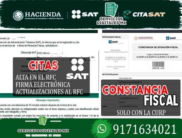 Tramites del SAT y Actualización de Ac tas