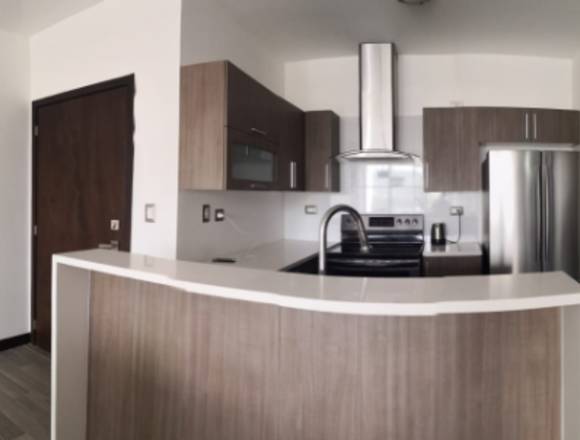 Alquiler Apartamento Amueblado Zona 16 San Isidro