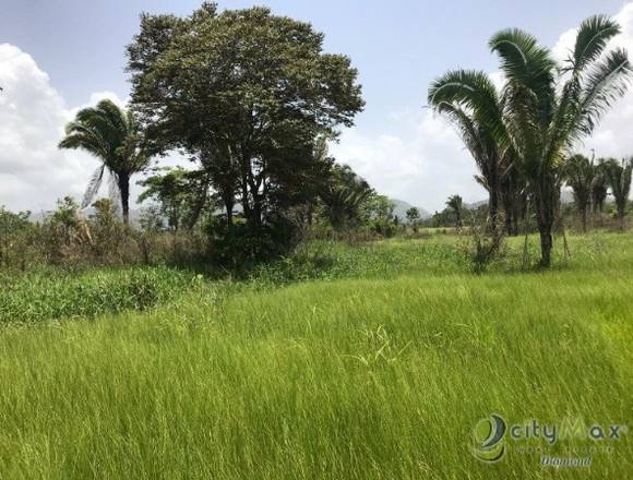 Venta de 67 mazanas de terreno en Izabal