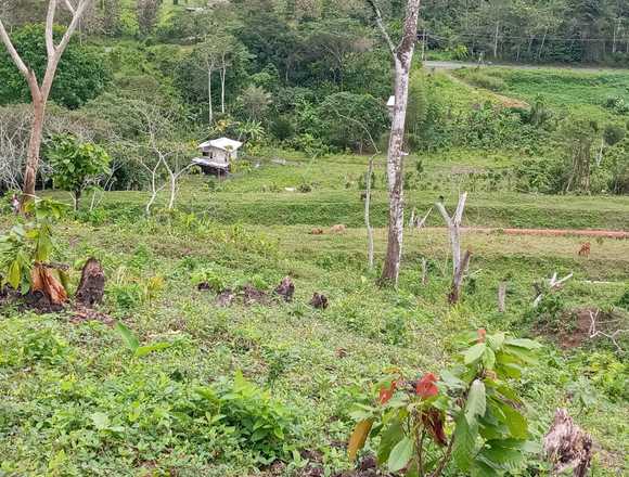 Se vende finca de 6 hectareas en Esmeraldas