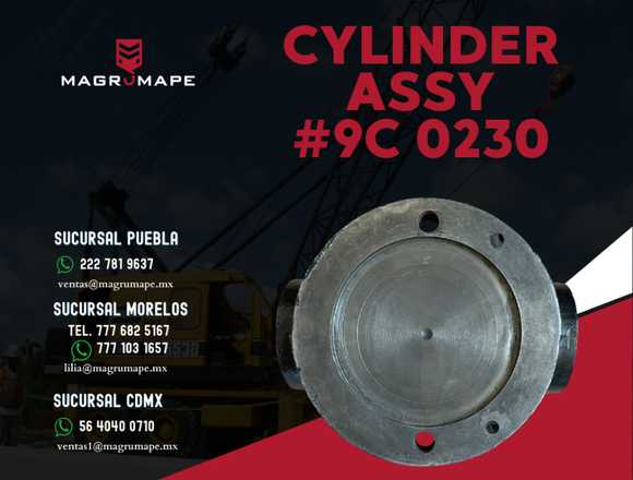 Cylinder Assy #9C 0230