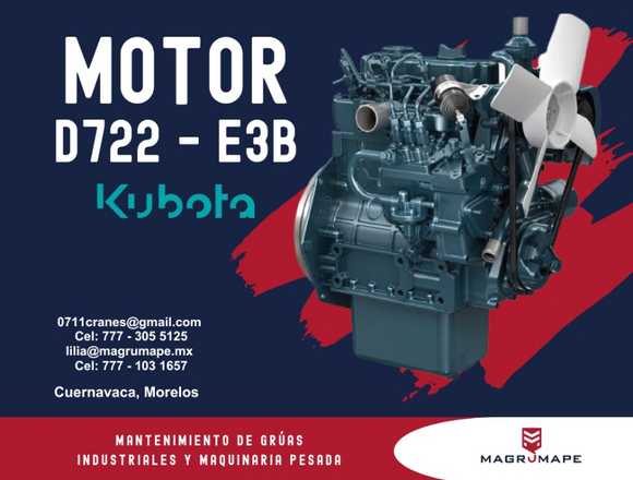 MOTOR D722 - E3B Marca Kubota